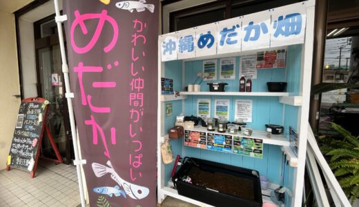 宜野湾店の無人販売は色々売ってる